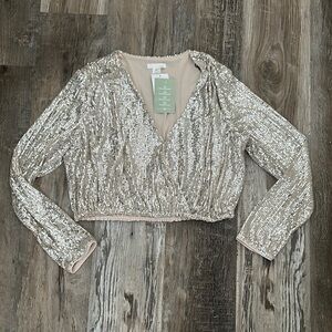 H&M Silver Sequin Wrap Blouse